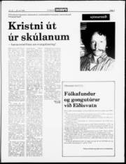 Síða 7