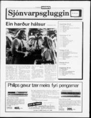 Síða 11