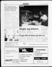 Síða 12