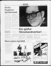 Síða 14