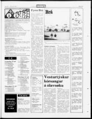 Síða 23