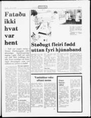 Síða 5