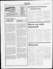 Síða 6