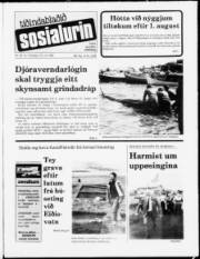 Síða 1