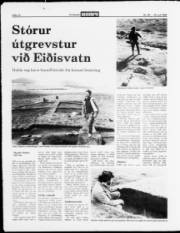 Síða 10