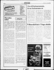 Síða 6
