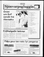 Síða 11