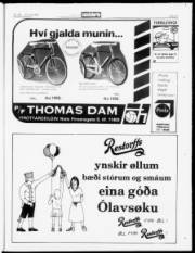 Síða 21