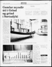 Síða 23