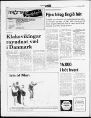 Síða 8