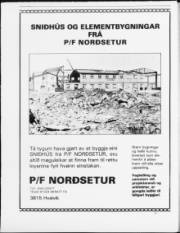 Síða 12