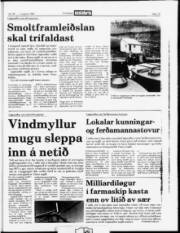 Síða 15