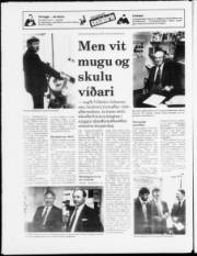 Síða 20