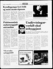 Síða 3