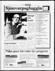 Síða 11