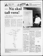 Síða 24