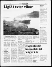 Síða 5