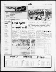 Síða 8