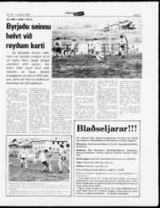 Síða 11