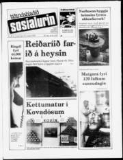 Síða 1