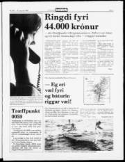 Síða 3