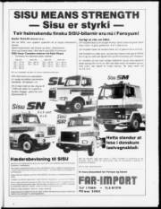 Síða 21