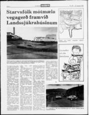 Síða 2