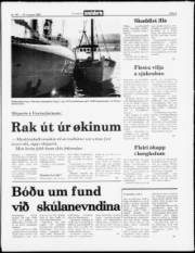 Síða 5