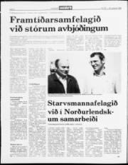 Síða 2