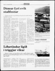 Síða 3