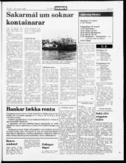 Síða 19