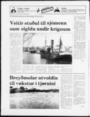 Síða 20