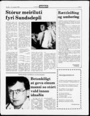 Síða 3