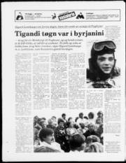 Síða 24