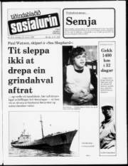 Síða 1