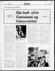 Síða 17