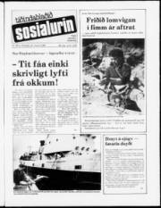 Síða 1