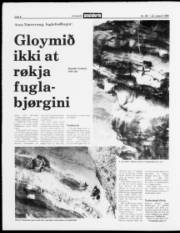 Síða 8