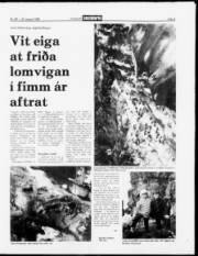 Síða 9