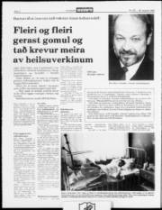 Síða 2