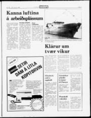 Síða 5