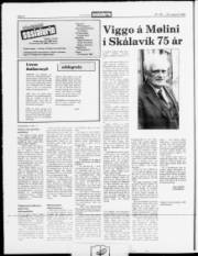 Síða 6
