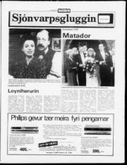 Síða 11