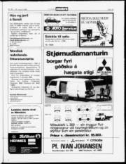 Síða 19