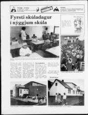 Síða 24