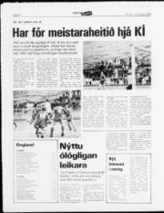 Síða 10
