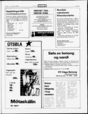 Síða 17