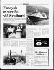 Síða 3