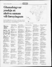 Síða 17