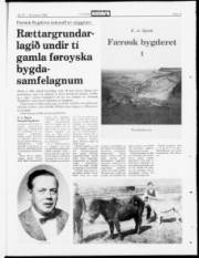 Síða 19